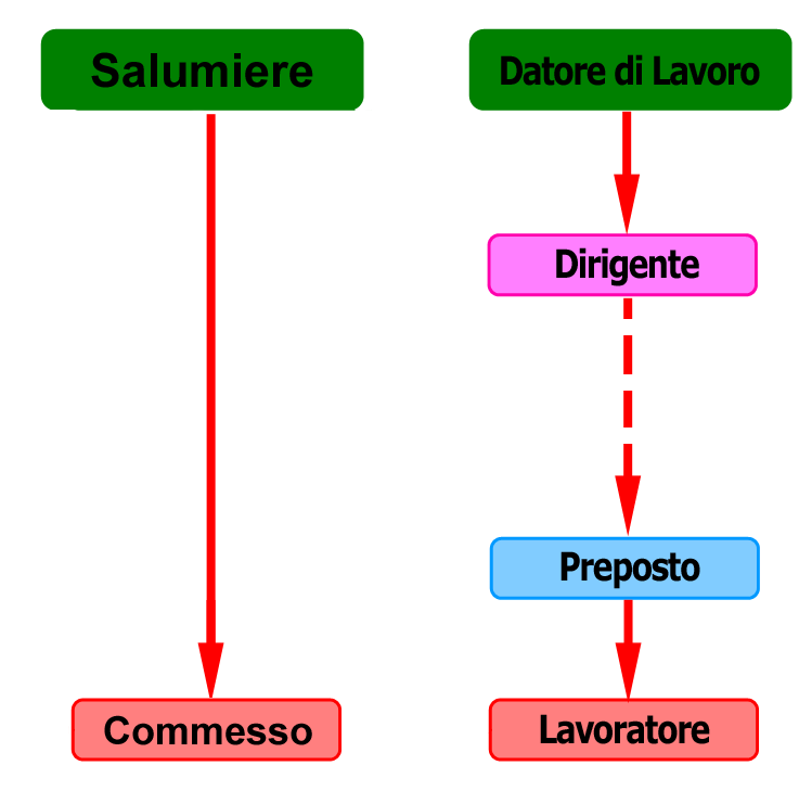 Organigramma confronto