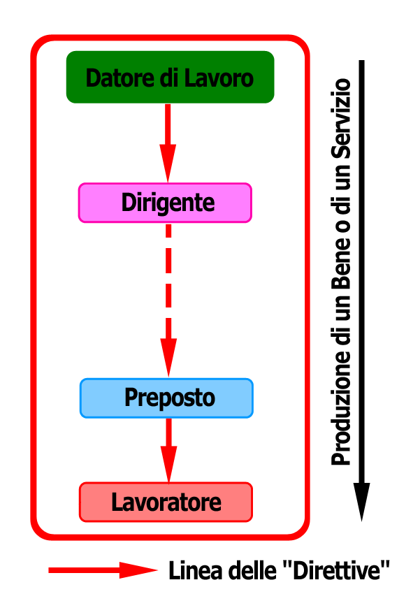 Organigramma novecento