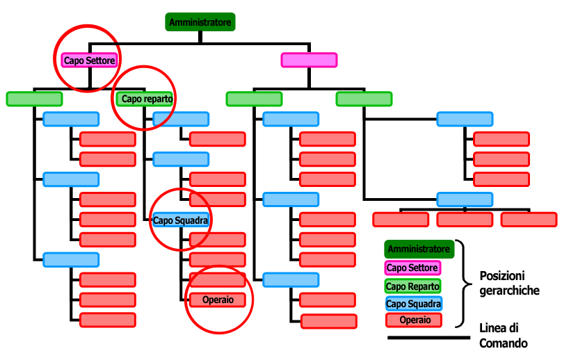 Organigramma schematico